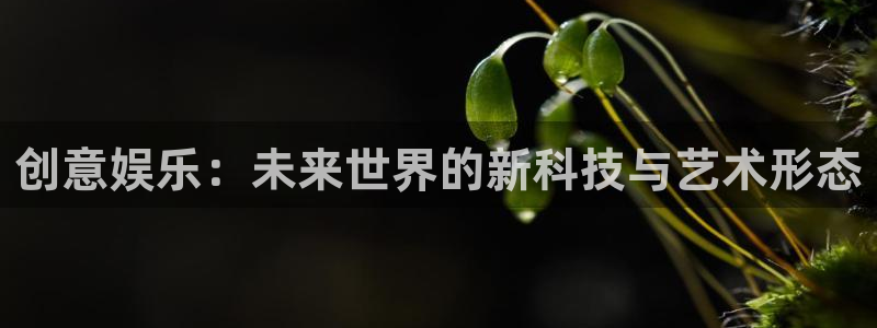 辉达平台娱乐：创意娱乐：未来世界的新科技与艺术形态